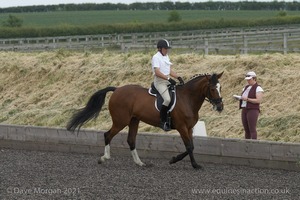 ISIS Dressage Challenge 2008